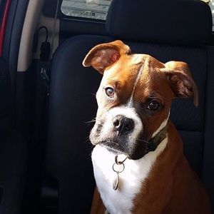 Meet your Posher, Amber